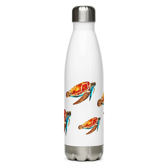 Sea Turtle Water Bottle, Turtle Lover Gift, Stainless Steel Water Bottle, Hot Cold Double Walled Container