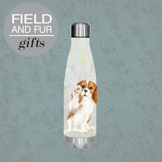 Cavalier King Charles Spaniel , Insulated Water Bottle, Keeps Your Drink Hot Or Cold